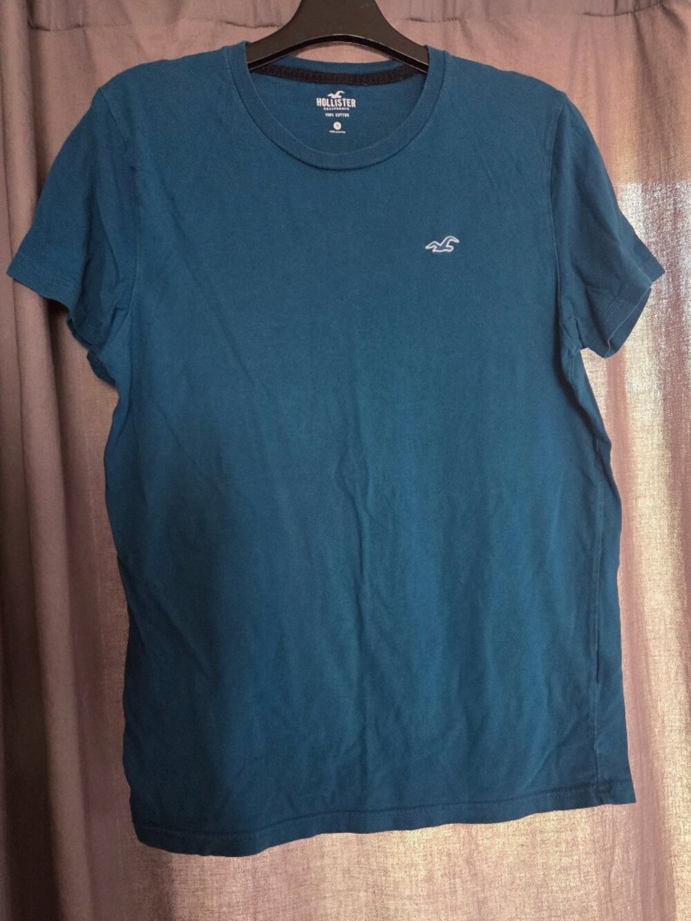 Hollister Mens Must-Have Collection Icon T-Shirt Teal Green Size M